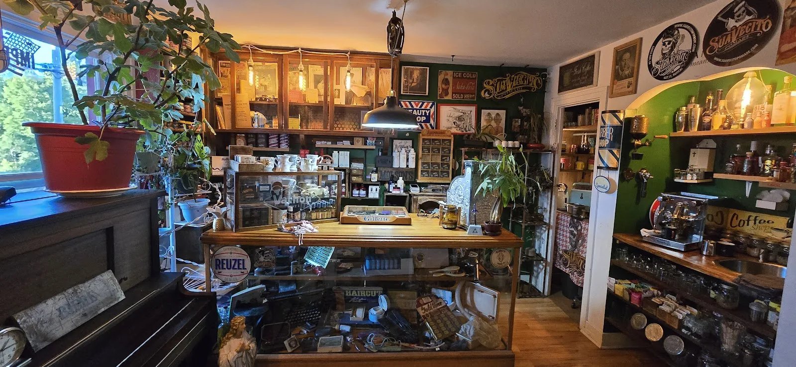L'intérieur du salon : comptoir-vitrine en bois rempli d'objets anciens, murs vert forêt, pommades et savons sur les tablettes, machine à espresso, enseignes de barbier et de café, plantes et vieux piano.